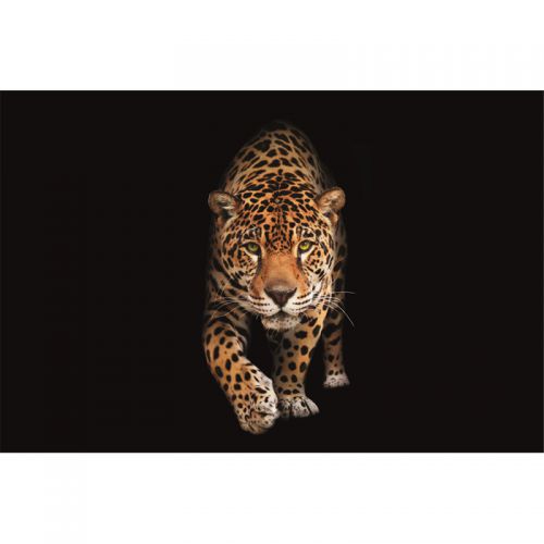  Spotted wild cat - Panther 300x200x2cm mat