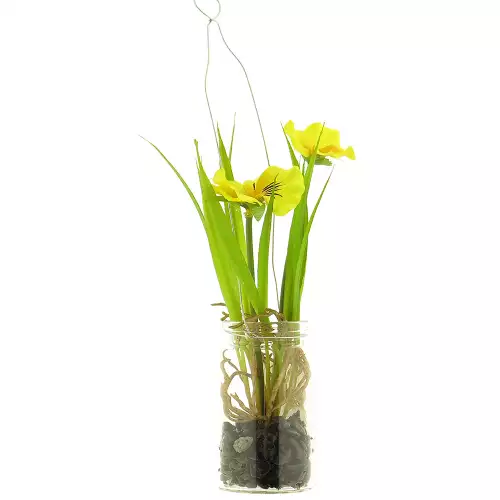 By Kohler  Pansy in glass pot w/hanger yellow 24cm (201002)