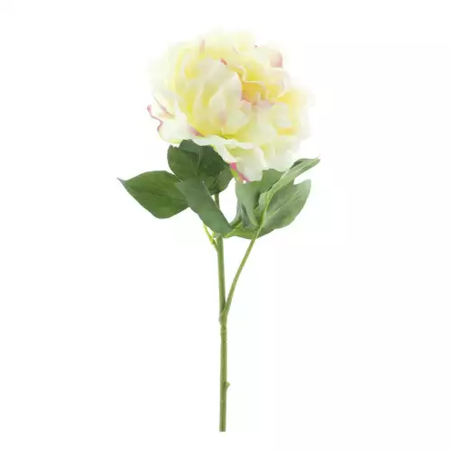  Paeonia spray dewi lt yellow 56cm